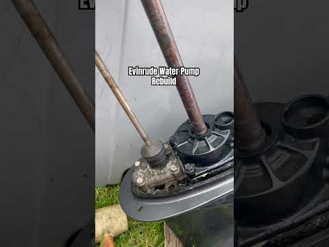 Evinrude ETEC Full Water Pump Rebuild #outboard #2stroke #engine #boat #evinrude #brp #waterpump