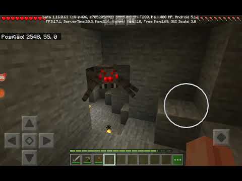 Mundo Perfeito video