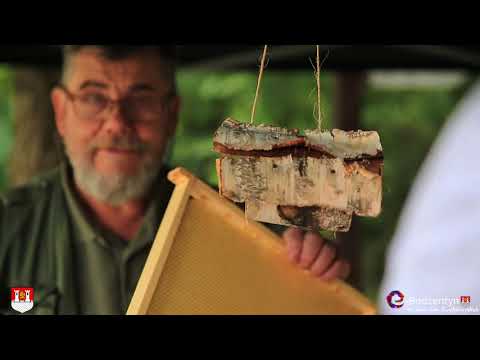 Wideoinformator MiG Bodzentyn - 09.08.2019 r.