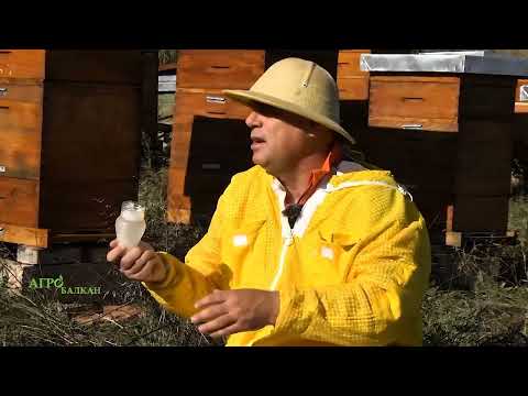 Blagojce Najdovski  Pcelarski inovacii   Pcelarske inovacije - inovacije u pcelarstvu