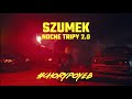 Szumek - Nocne Tripy 2 (prod. Wojtula)  Official Video