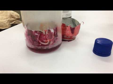 Easy Experiments: Burning a coke can with Acids