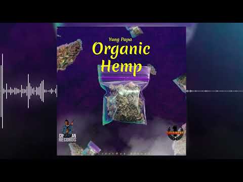 YUNG PAPA {Organic Hemp} ft {Crossmon Records}
