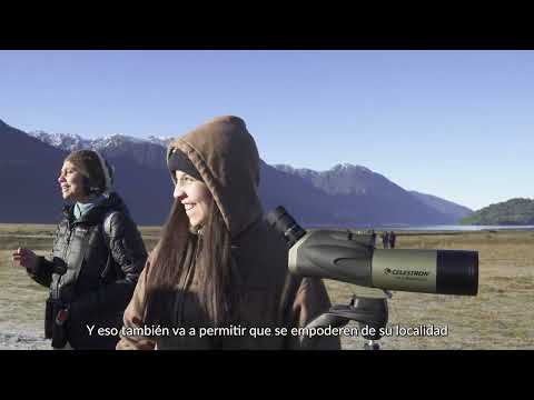 ROC-Se buscan – Cápsula 2 “Aves marinas y servicios ecosistémicos”