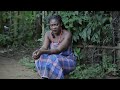 THE HEART OF A WOUNDED MAIDEN SEASON 1 2 MERCY JOHNSON 2023 LATEST NOLLYWOOD FULL MOVIE