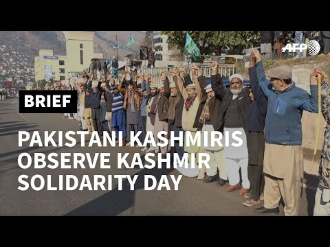 Pakistani Kashmiris gather for annual Kashmir Solidarity Day | AFP