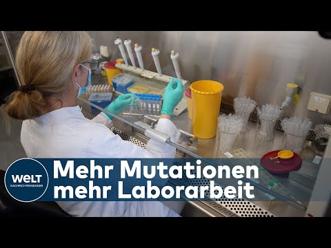 ZU WENIG SEQUENZIERUNGEN: Untersuchung der Corona-Mutation wird drastisch ausgeweitet