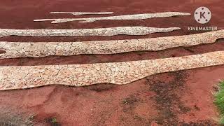 ECE3006 Assessment 1