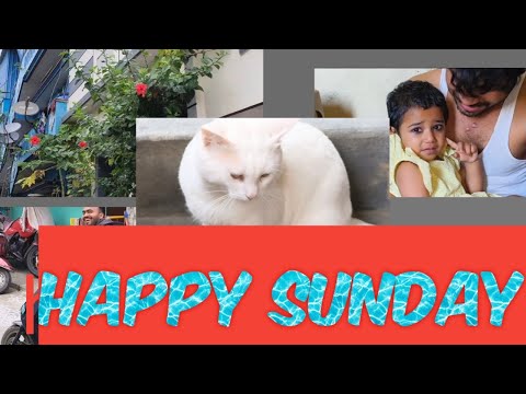 Aaj tha Sunday roz khao ande