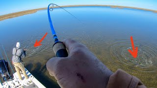 Big Schools of North Carolina Redfish Floating on the Surface