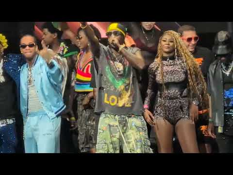 ELEPHANT MAN & DING DONG SURPRISE PERFORMANCE @ Reggae Awards New York