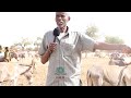 Abaar Aad Udaran O Ku Dhacday Deganada Awdal Iyo Salal Documentry