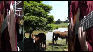 LEE RITENOUR   "WAITING  FOR  YOU"     played by aniwarata