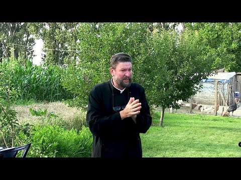 Părintele Daniel Avram † Cuvânt în Adunare †