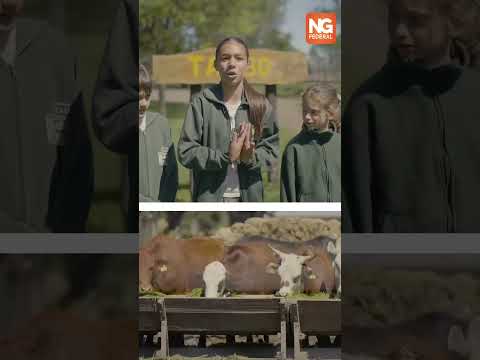 PRIMER TAMBO ROBÓTICO EN VENADO TUERTO: “ES INCREÍBLE TENER ESTA POSIBILIDAD"