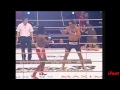 Pride 33 Rogerio Nogueira Vs Rameau Thierry Sokoudjou