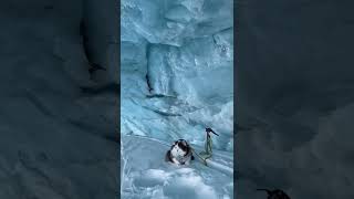 Satinder Sartaaj: Masoomiyat (Full Song) | Beat Minister | Latest Punjabi Songs 2017 | T-Series