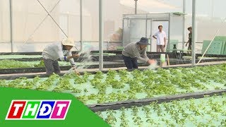 Ghé thăm Trang trại nông sản sạch Đồng Tháp Aquaponics