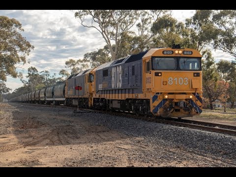 8103 and G540 on 7928V grain from Birchip at Emu & Dunolly- 4/7/18