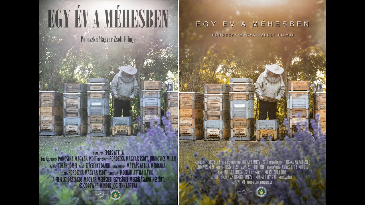 Egy év a méhesben (előzetes)