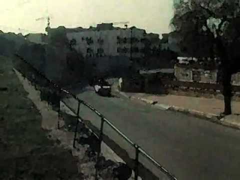 POOGLIA TRIBE  Reverendo,Moddi Mc, Toorbo Yamabushi, Max-d 1999