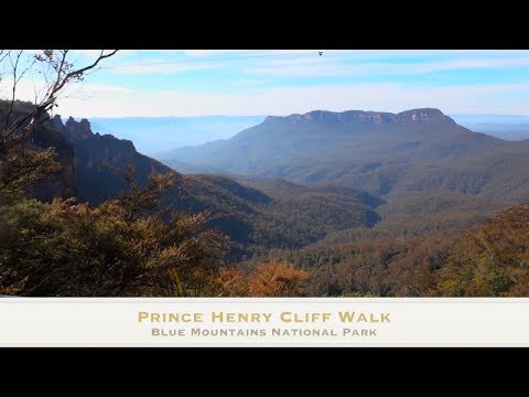 Parque Nacional das Montanhas Azuis - Caminhada no Penhasco Príncipe Henry