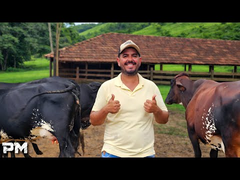 ELE NÃO DESISTIU DA ROÇA! MESMO COM EMPREGO NA CIDADE, TIRA LEITE TODOS OS DIAS