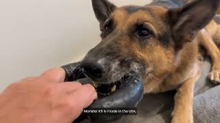 Monster K9 Chew Ring : Review