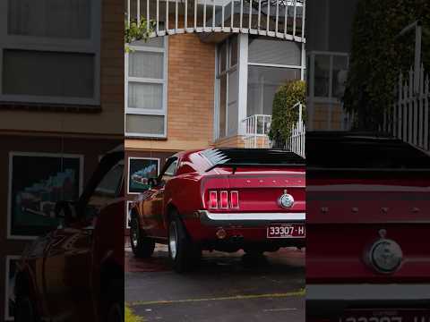 311 Timor Street, Warrnambool, VIC 3280, 3 slaapkamers, 1 badkamers, House