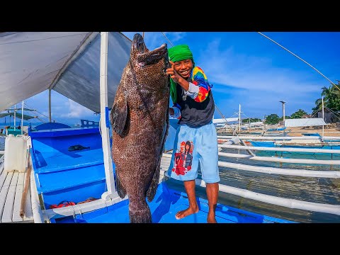 Idol niño nanliit sa laki ng grouper nato catch & sell