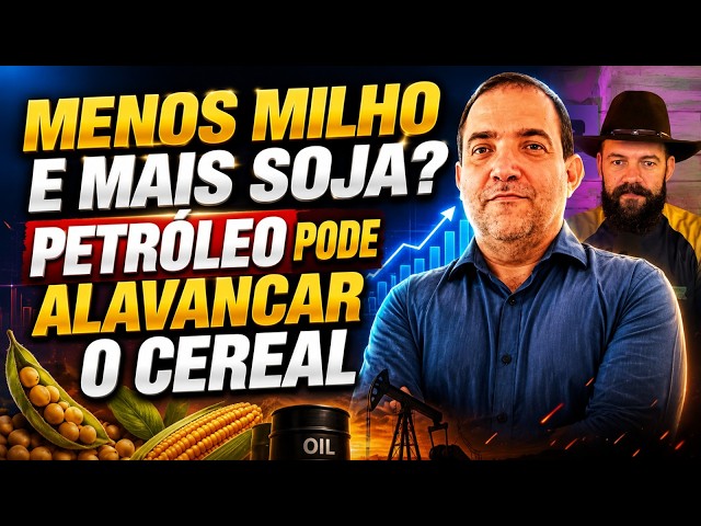 Menos milho e mais soja? Petróleo pode alavancar o cereal