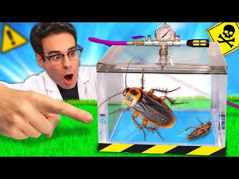 Pruebo Cuánto Resiste una CUCARACHA sin Oxígeno | El Insecto Más Resistente del Mundo