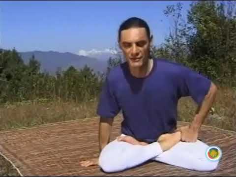 Andrico The Eight Movements of Yantra Yoga kunpendelek ru