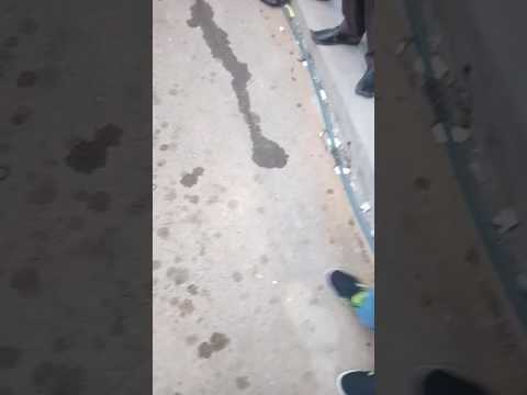 Happy dy public go nawaz go