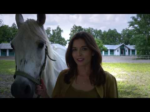 Szlakiem miejsc niezwykłych: pomniki historii - Janów Podlaski (4 sezon - 2019)