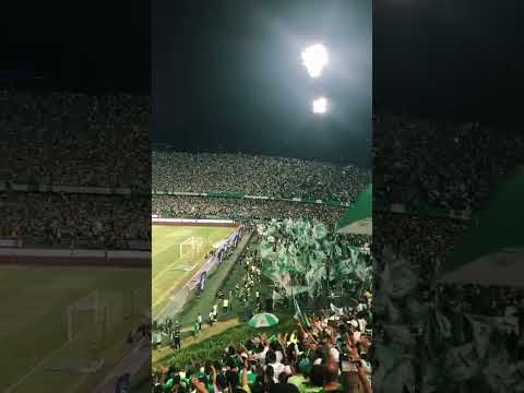 "Atlético Nacional " Barra: Los del Sur &bull; Club: Atlético Nacional &bull; País: Colombia