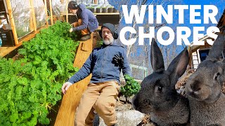 My Winter Homestead Routine: A Greenhouse, Rabbits & Projects