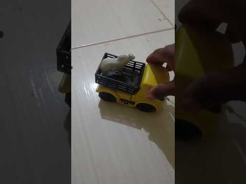 Pau D'arco do Piauí🚚🚨🐄🐃