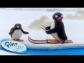 Pingu Loses His Boat Pingu Official Cartoons For Kids