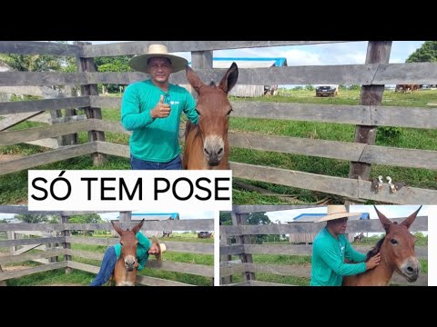 XAPURI ACRE/MINHA LOGÍSTICA PARA COMEÇAR UM CURSO/ RAMAL TUPA