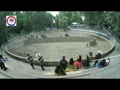 Primera serie libre - Club de huasos Yungay