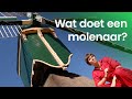 Wat doet een molenaar?