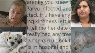Surprise, Mesa women say man on Craigslist sold them sick puppies