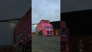 Download lagu Pesona hino style riauu🔥#trukmbois#drivermuda#trukoleng#hino500#shorts#trukhino#volvo#buahlovers#fyp mp3