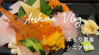 My mother’s dream came true! A senior’s slow life in Aoshima, Miyazaki.  宮崎の青島にシニア移住。シニア宮崎移住して幸せ度UP。