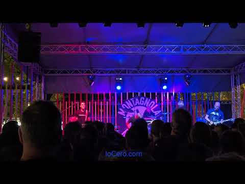 PUNKREAS almost Full Live @ Bologna Busker Festival - 13.9.24