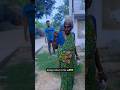 Watch Full Shorts Funnycomedy Like Forlikes Youtuber