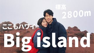 8分の1の奇跡が生んだビックアイランド