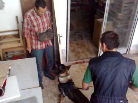 Brita z Medvedej doliny   zadržanie v hale 3