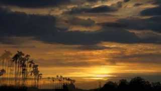 Jack Jezzro & Sam Levine (USA) - Tonight's The Night